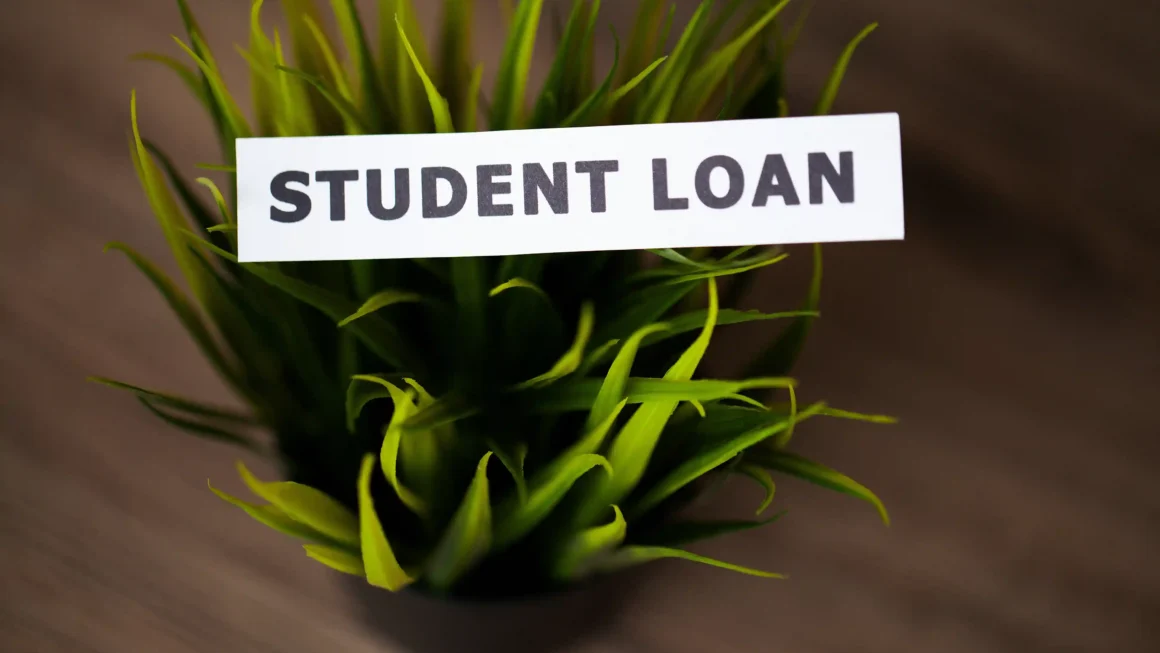 How Do You Choose The Best Student Loan Provider?